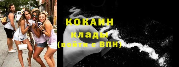 шишки Арсеньев