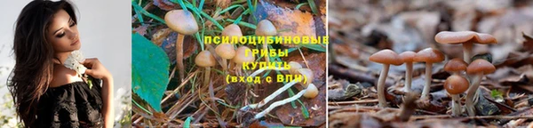 наркотики Аркадак