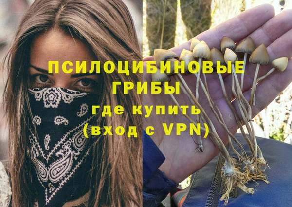МДПВ Ачинск