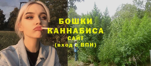шишки Арсеньев