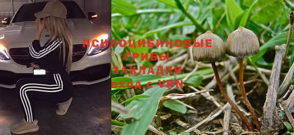 таблы Армянск