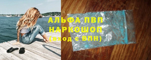шишки Арсеньев