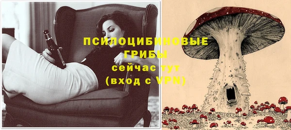 таблы Армянск