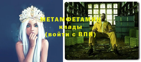 шишки Арсеньев