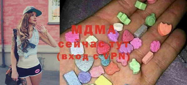 шишки Арсеньев