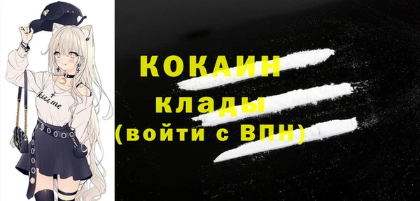шишки Арсеньев