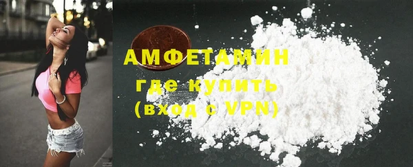 шишки Арсеньев