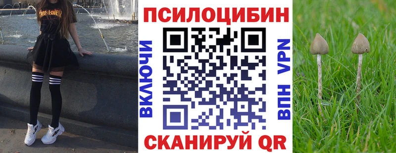 Галлюциногенные грибы GOLDEN TEACHER  Ахтубинск 
