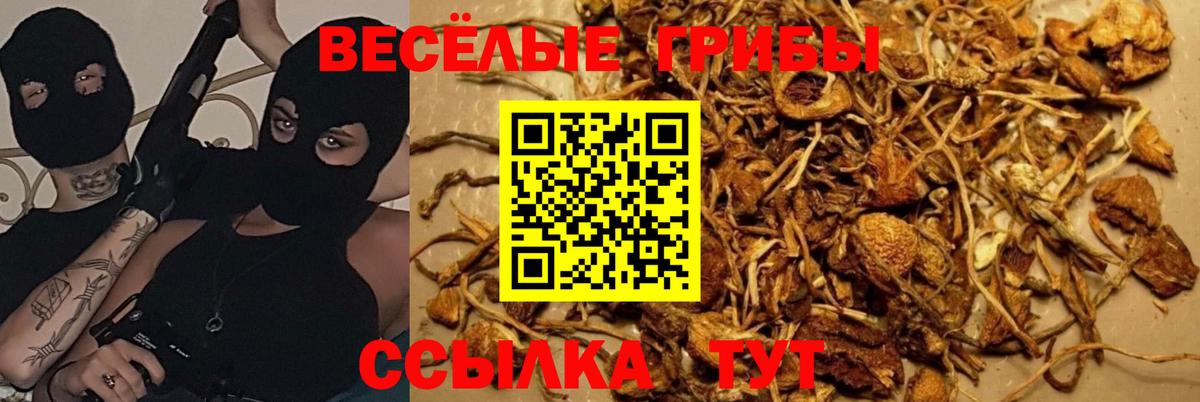Ахтубинск  Галлюциногенные грибы GOLDEN TEACHER  Псилоцибиновые грибы ЛСД  Вход с VPN 